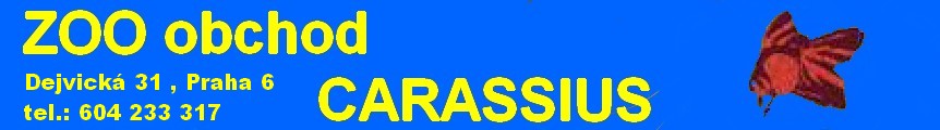 carassius
